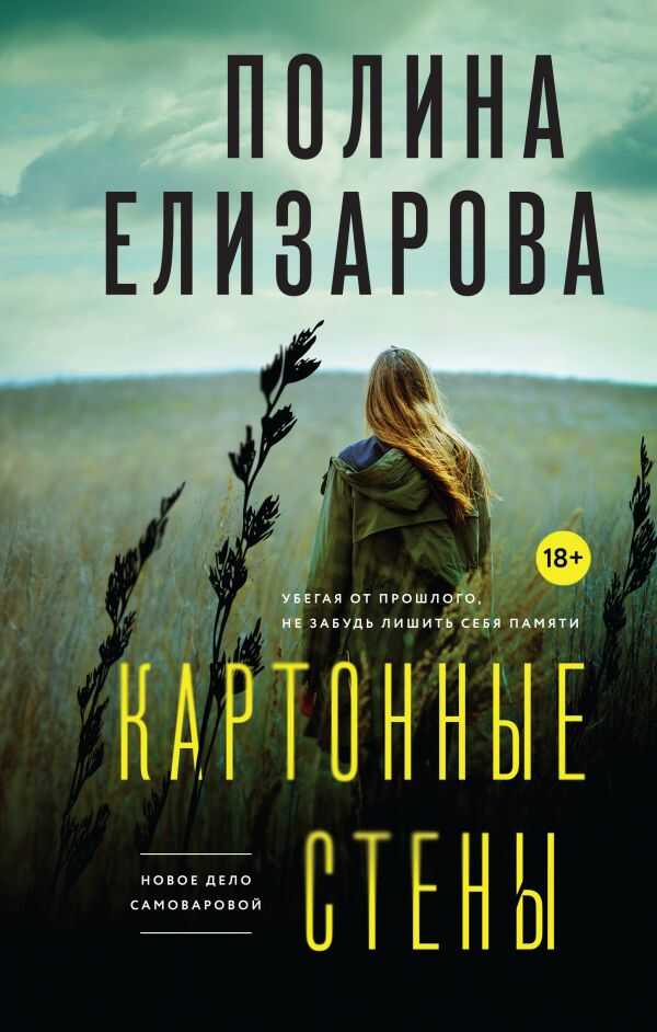 Картонные Стены