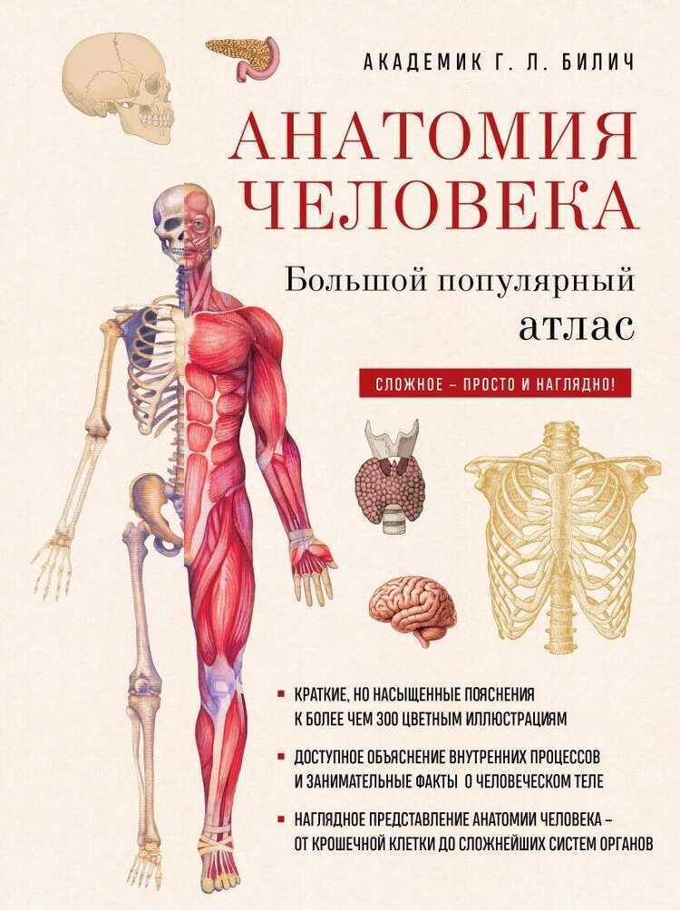 Анатомия человека: большой популярный атлас новое оформление