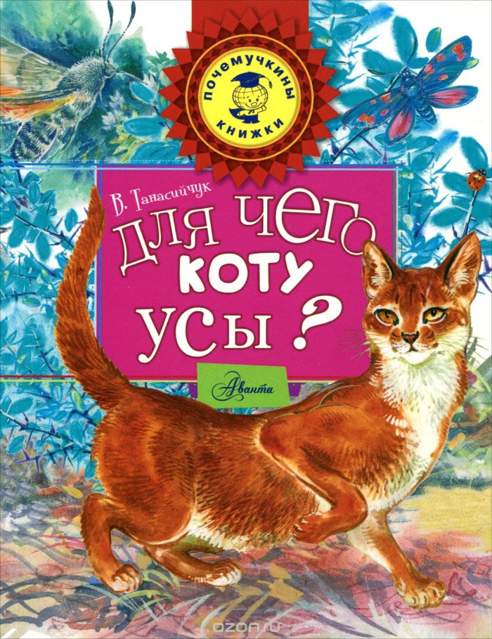 Для Чего Коту Усы?