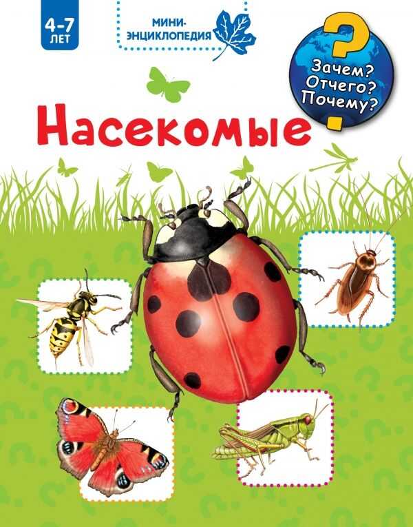 Насекомые