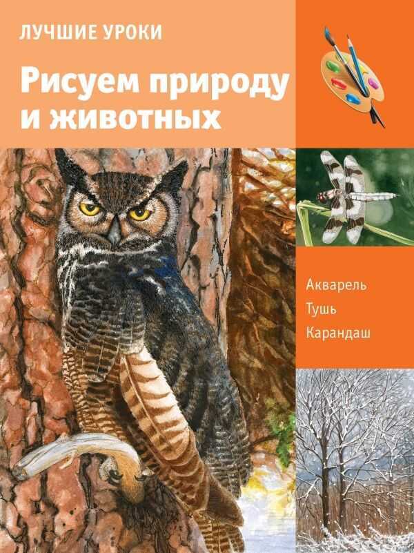 УЧИМСЯ РИСОВАТь ПРИРОДУ И ЖИВОТНЫХ