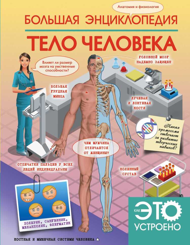 БОЛьШАЯ ЭНЦИКЛОПЕДИЯ. ТЕЛО ЧЕЛОВЕКА