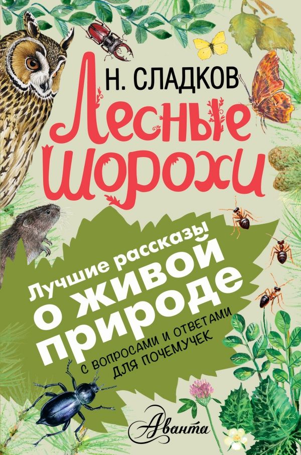 Лесные Шорохи