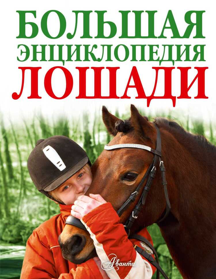 ЛОШАДИ. БОЛьШАЯ ЭНЦИКЛОПЕДИЯ