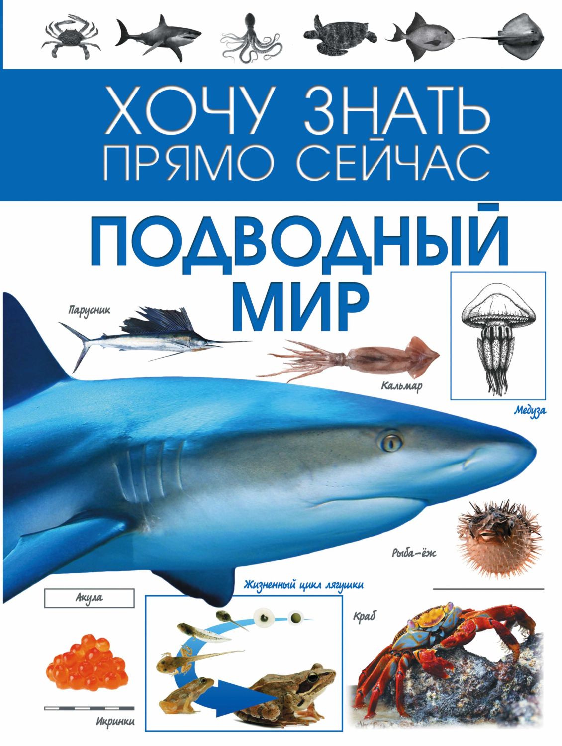 ПОДВОДНЫЙ МИР. ХОЧУ ЗНАТь ПРЯМО СЕЙЧАС