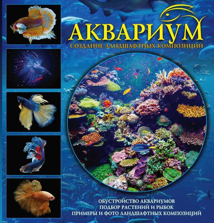 Аквариум. Создание Ландшафтных Композиций. Пример