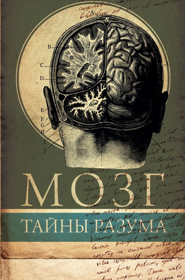 Мозг. Тайны Разума