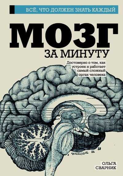Мозг За Минуту