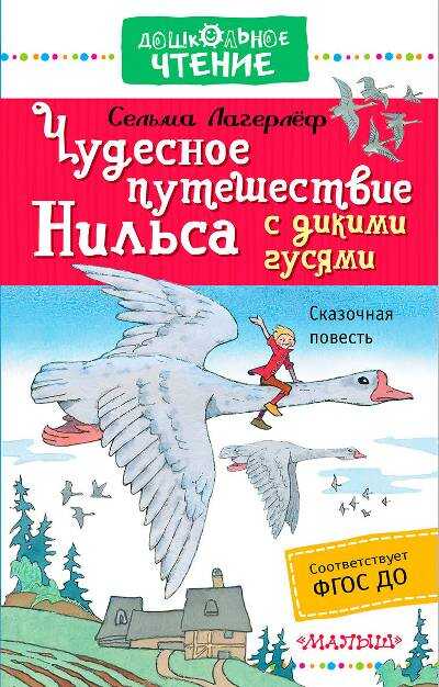 ЧУДЕСНОЕ ПУТЕШЕСТВИЕ НИЛьСА С ДИКИМИ ГУСЯМИ