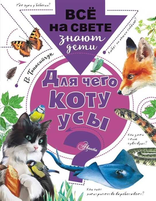 Для Чего Коту Усы?