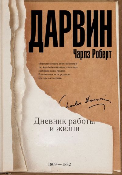 Дневник Работы И Жизни