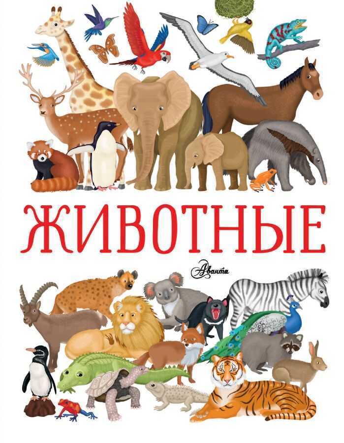Животные