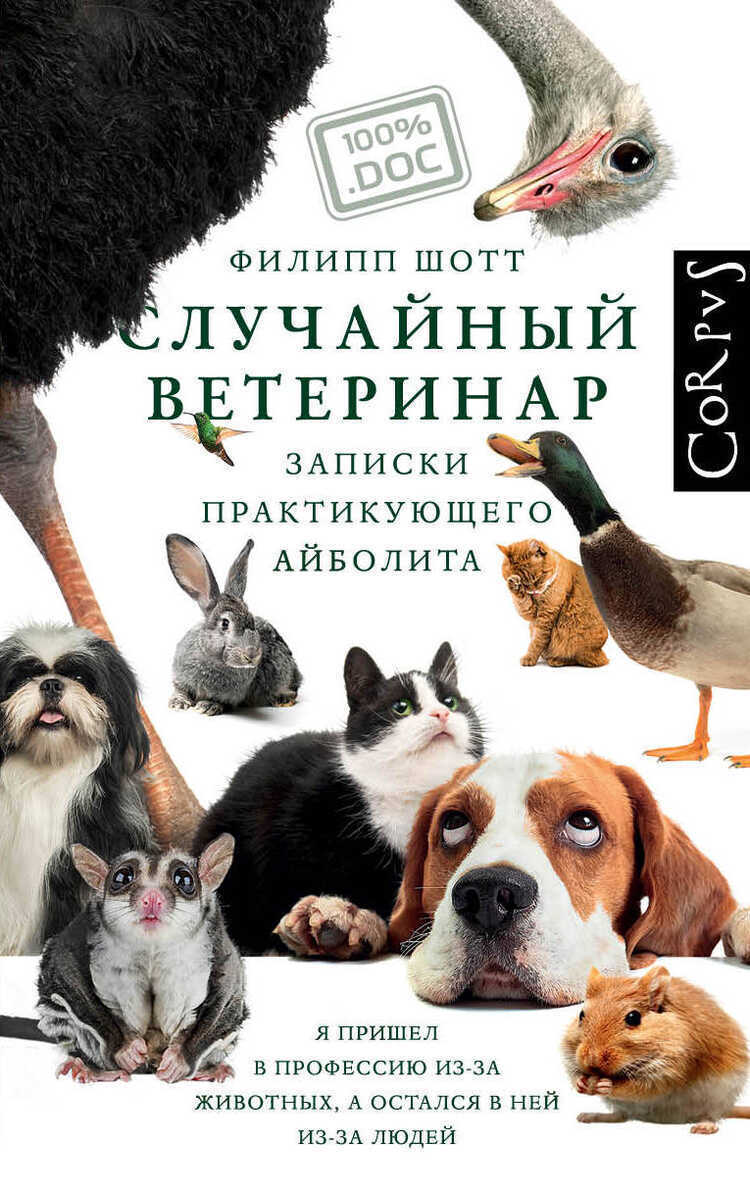 Случайный Ветеринар
