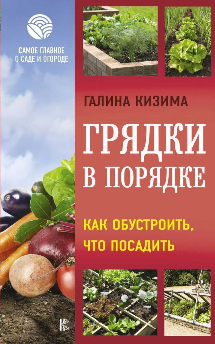 ГРЯДКИ В ПОРЯДКЕ. КАК ОБУСТРОИТь, ЧТО ПОСАДИТь