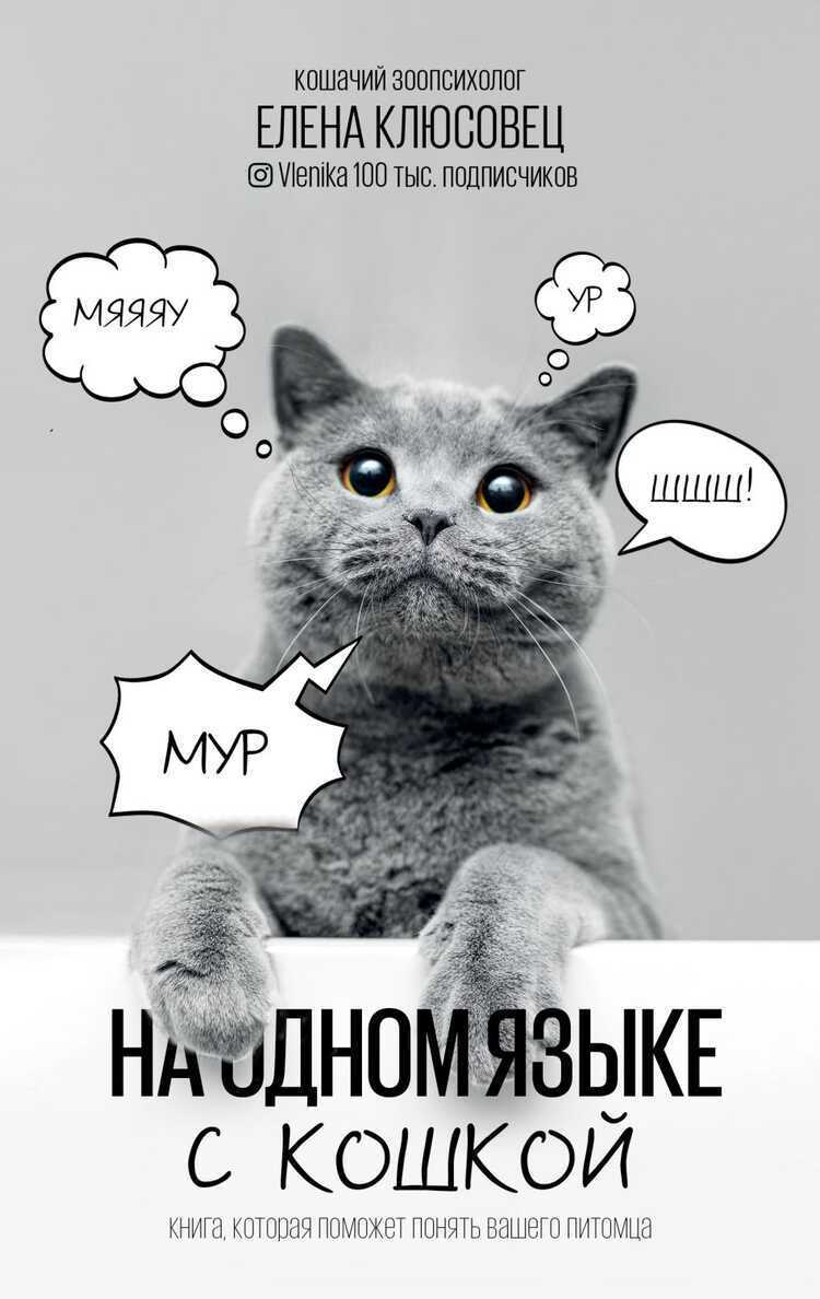 На Одном Языке С Кошкой