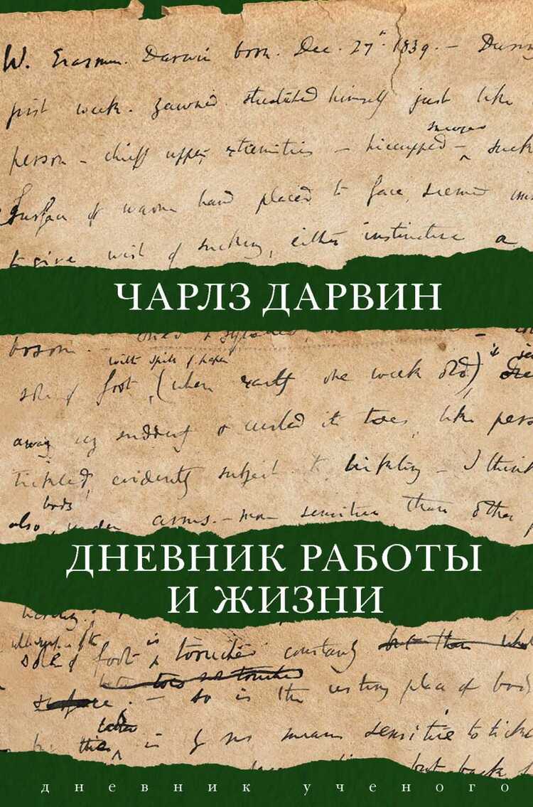Дневник Работы И Жизни