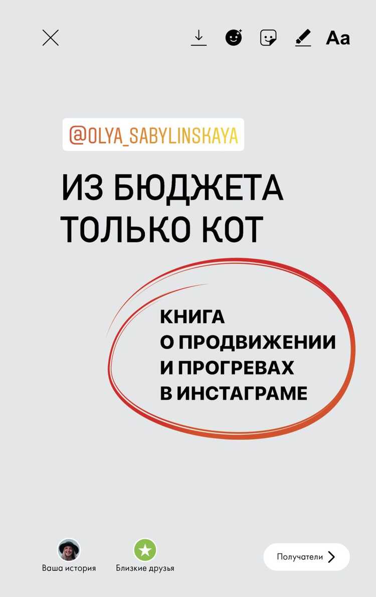 ИЗ БЮДЖЕТА ТОЛьКО КОТ. КНИГА О ПРОДВИЖЕНИИ И ПРОГРЕВАХ В ИНСТАГРАМЕ