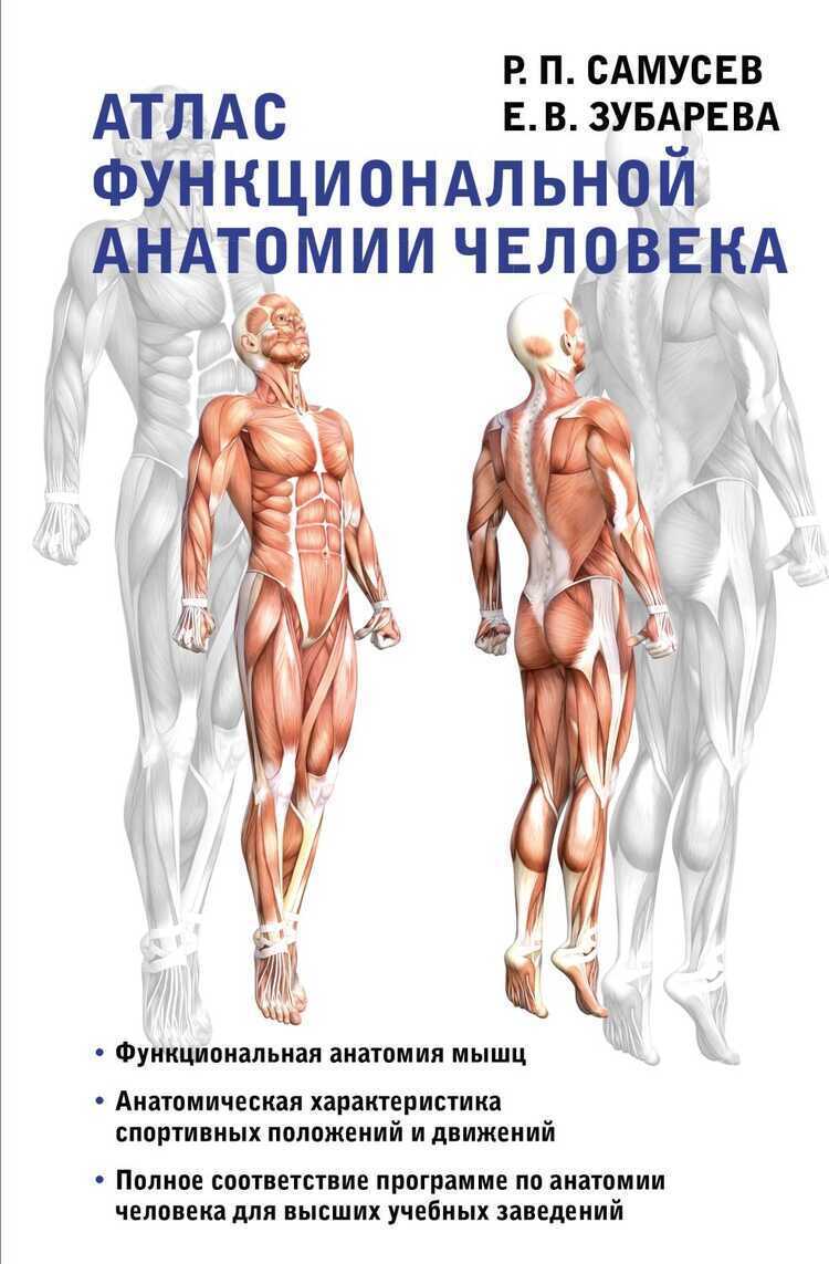 Атлас функциональной анатомии человека. Учебное пособие