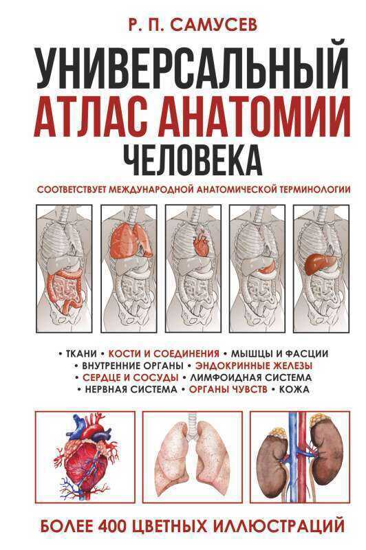 Универсальный атлас анатомии человека с цветными иллюстрациями. Учебное пособие