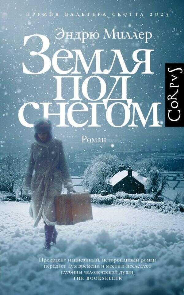 Земля под снегом