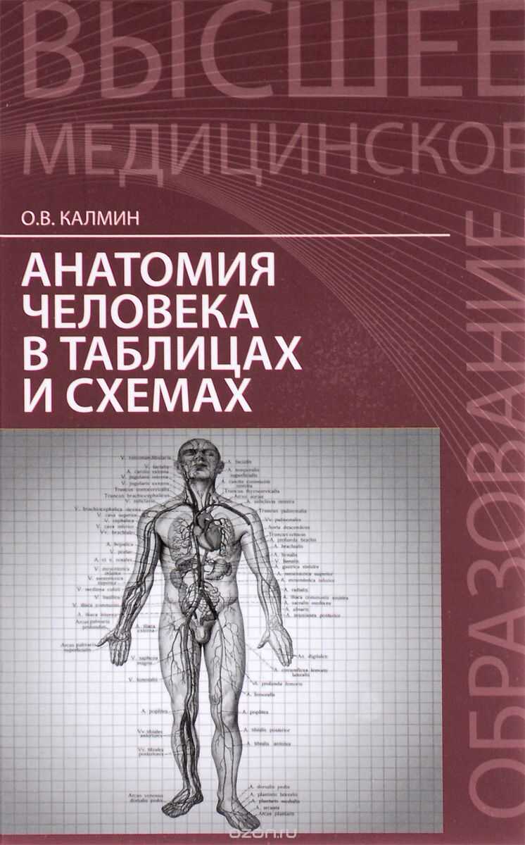 Анатомия Человека В Таблицах И Схемах. Учебное Пособие