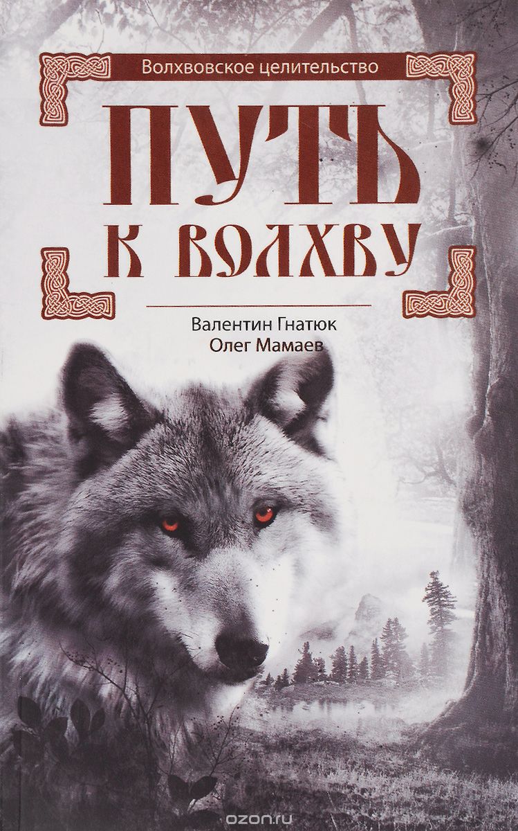 ПУТь К ВОЛХВУ