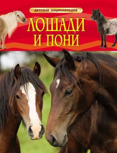 Лошади И Пони