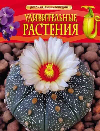 УДИВИТЕЛьНЫЕ РАСТЕНИЯ