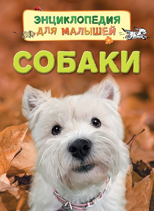 Собаки. Энциклопедия Для Малышей