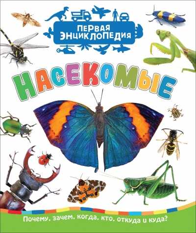 Насекомые