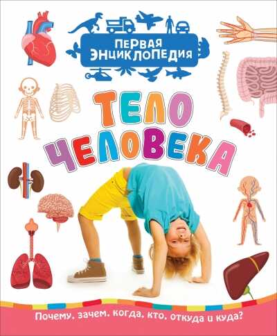 Тело Человека