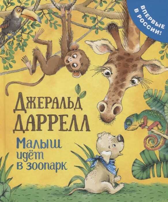 Малыш Идет В Зоопарк