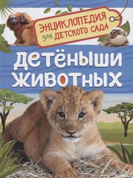 Детеныши Животных
