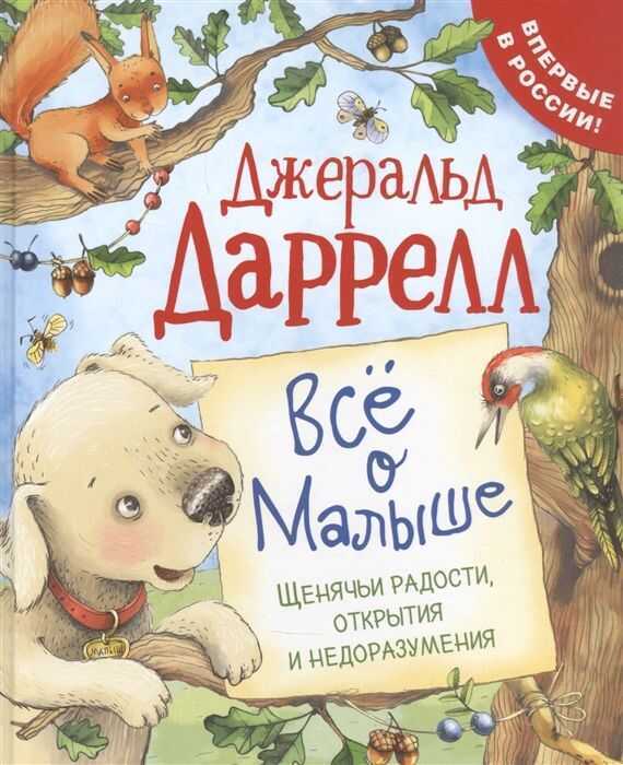 Все О Малыше (про Щенка)