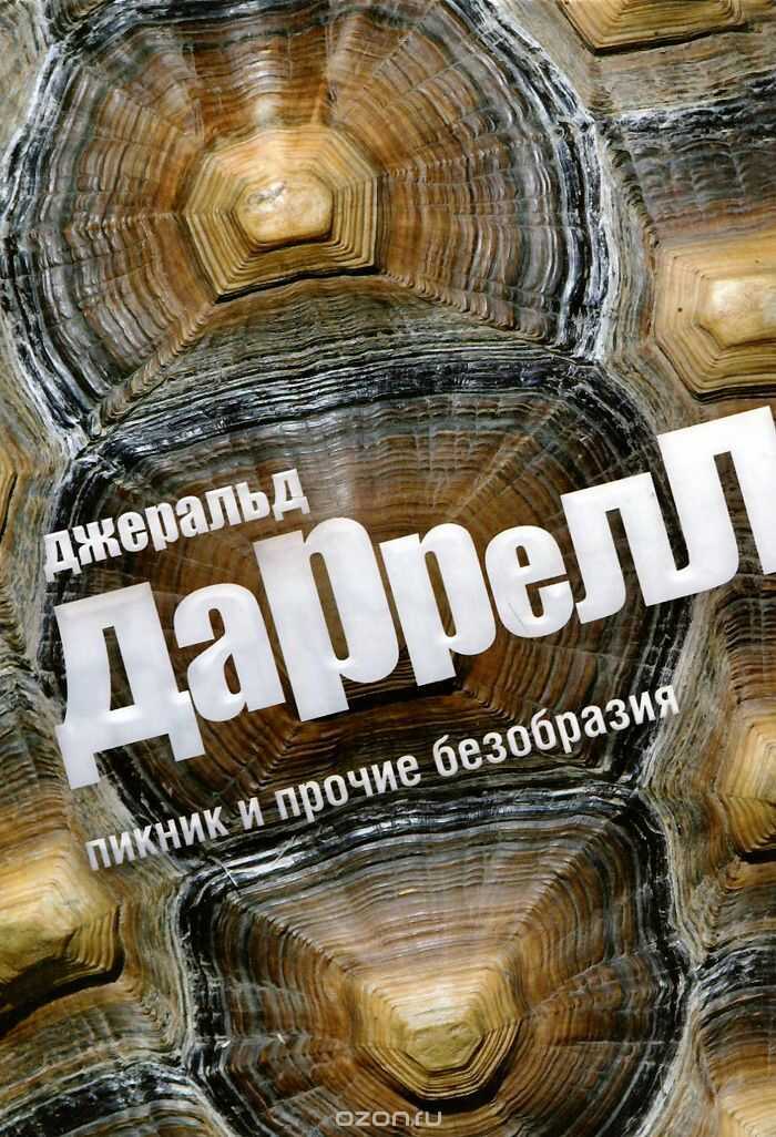 Пикник И Прочие Безобразия