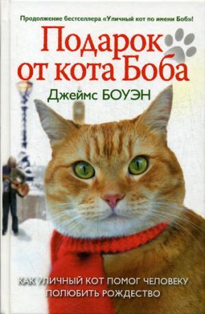 Подарок От Кота Боба