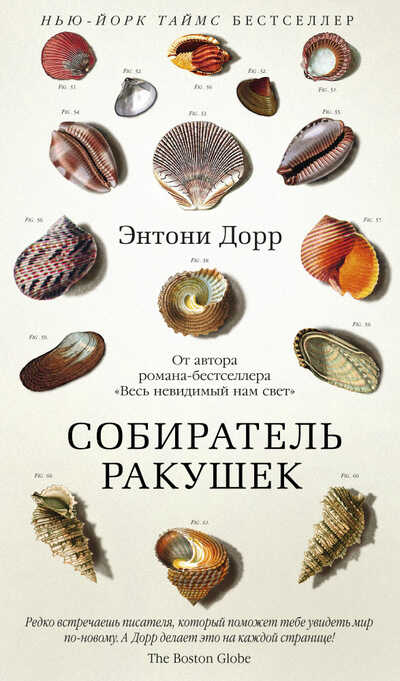 СОБИРАТЕЛь РАКУШЕК
