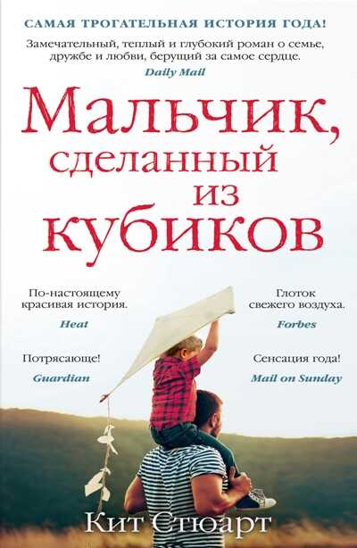 МАЛьЧИК, СДЕЛАННЫЙ ИЗ КУБИКОВ