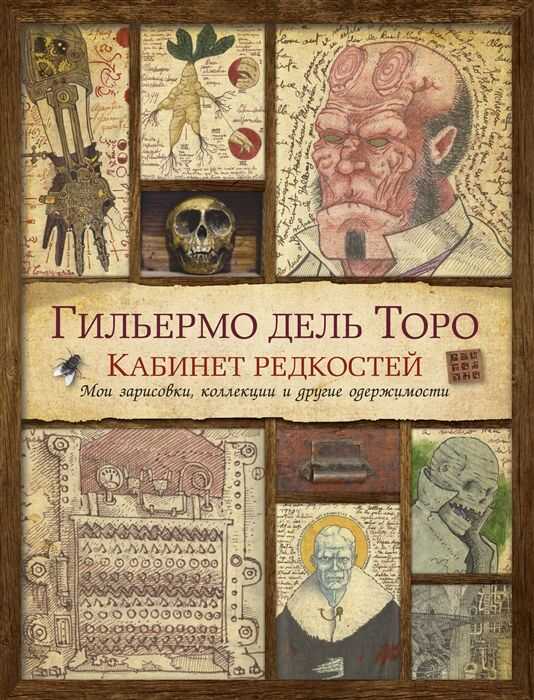 Кабинет Редкостей. Мои Зарисовки, Коллекции И Другие Одержимости