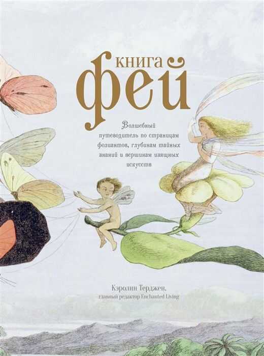 КНИГА ФЕЙ. ВОЛШЕБНЫЙ ПУТЕВОДИТЕЛь ПО СТРАНИЦАМ ФОЛИАНТОВ, ГЛУБИНАМ ТАЙНЫХ ЗНАНИЙ И