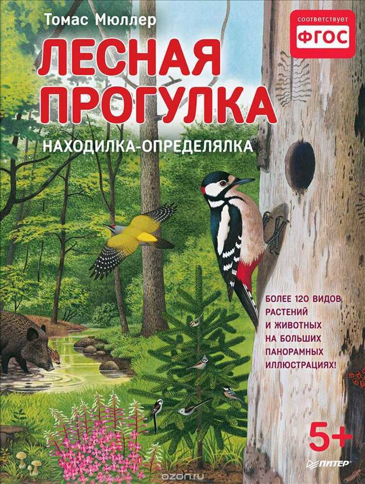 Лесная Прогулка. Находилка-определялка С Панорамными Иллюстрациями. Найди Более 120 Видов Растен