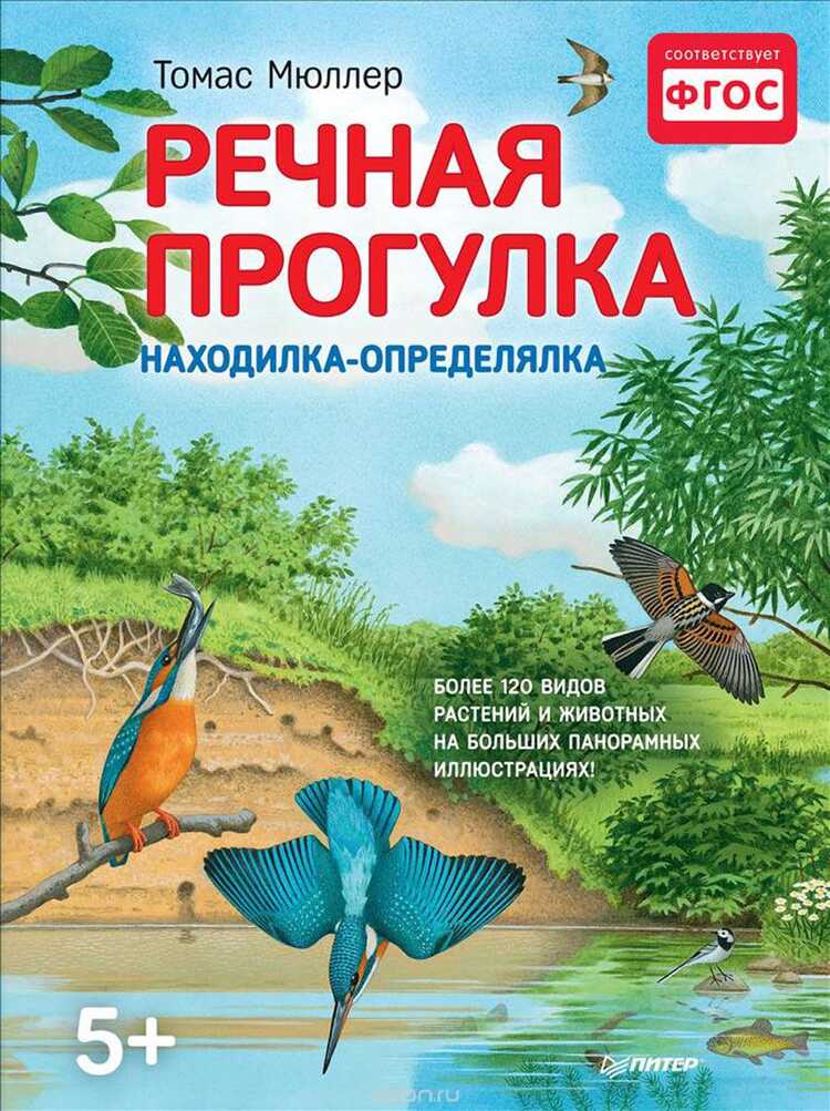 Речная Прогулка. Находилка-определялка С Панорамными Иллюстрациями. Найди Более 120 Видов Расте