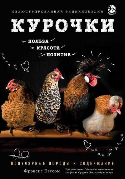Курочки. Популярные Породы И Содержание
