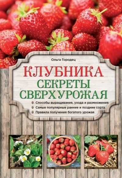 Клубника. Секреты Сверхурожая — Ольга Городец