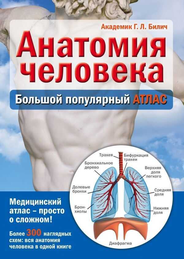 АНАТОМИЯ ЧЕЛОВЕКА. БОЛьШОЙ ПОПУЛЯРНЫЙ АТЛАС