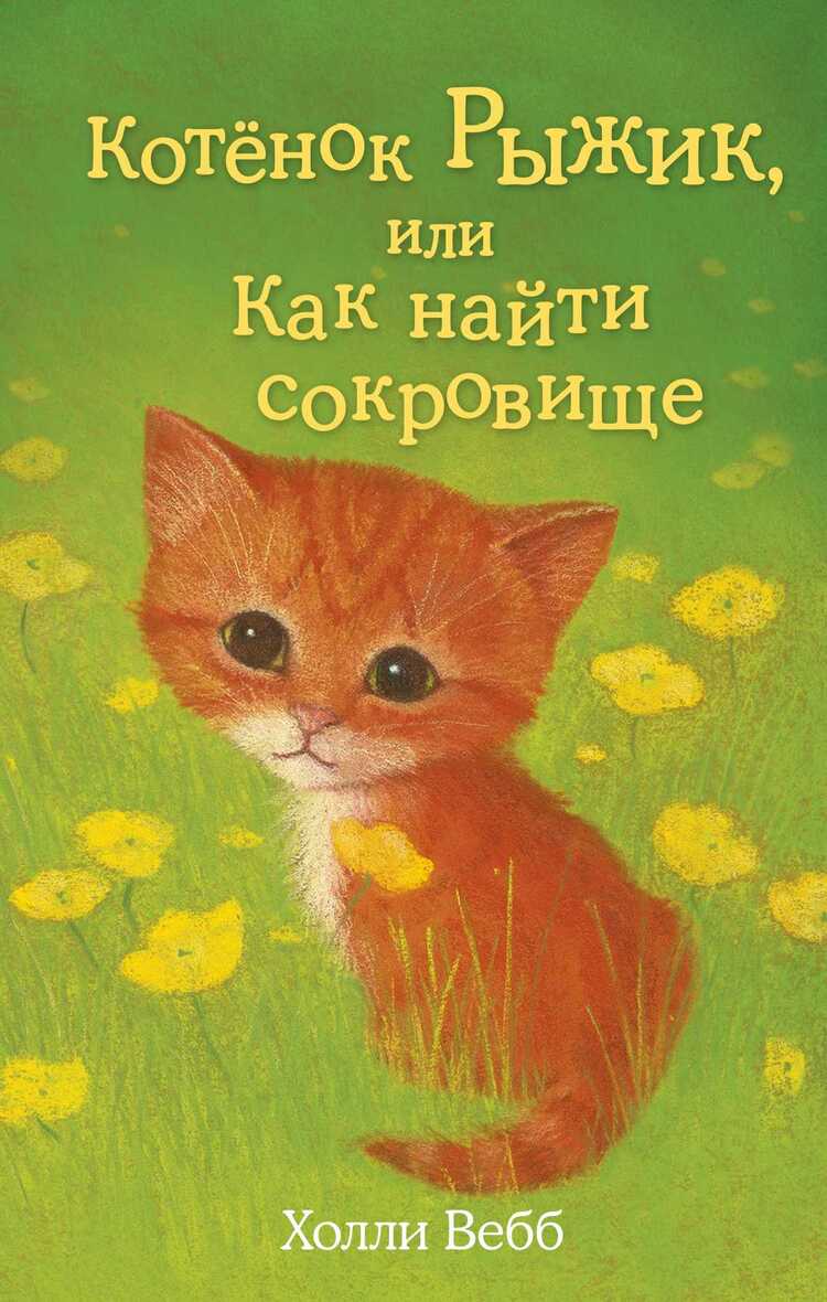 Котенок Рыжик, Или Как Найти Сокровище