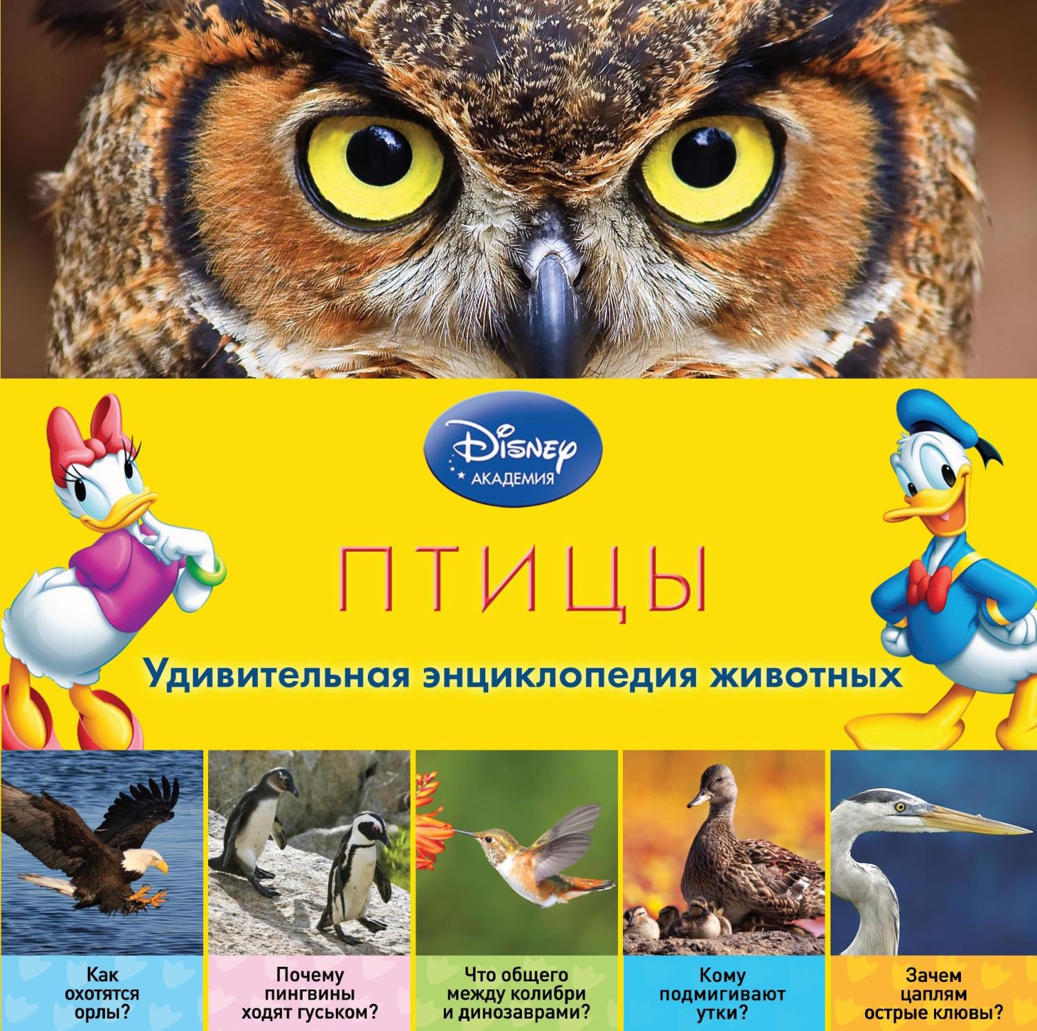 ПТИЦЫ. УДИВИТЕЛьНАЯ ЭНЦИКЛОПЕДИЯ ЖИВОТНЫХ