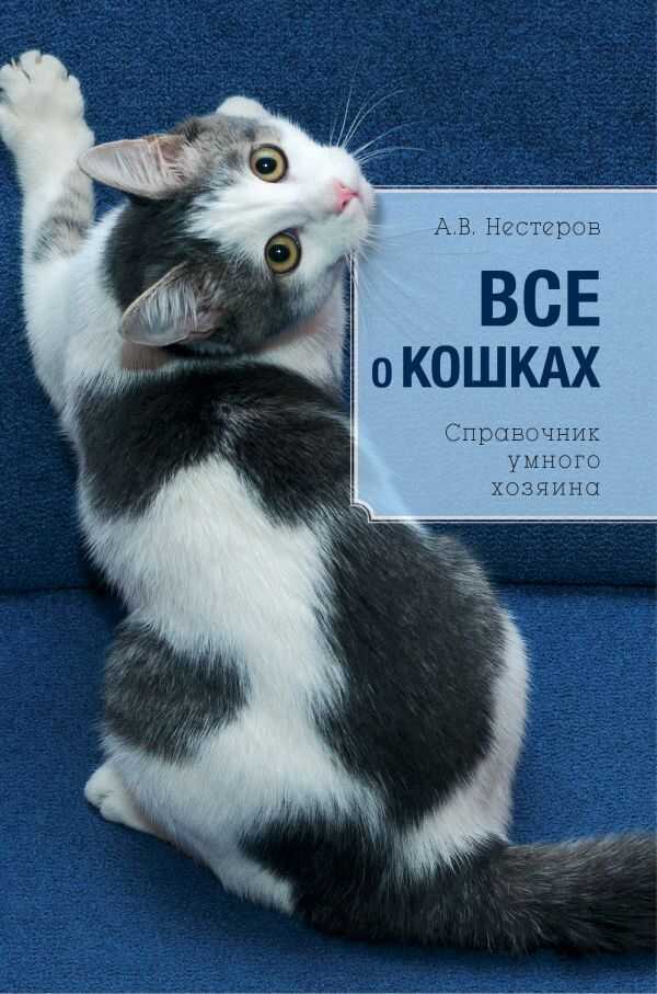 Все О Кошках