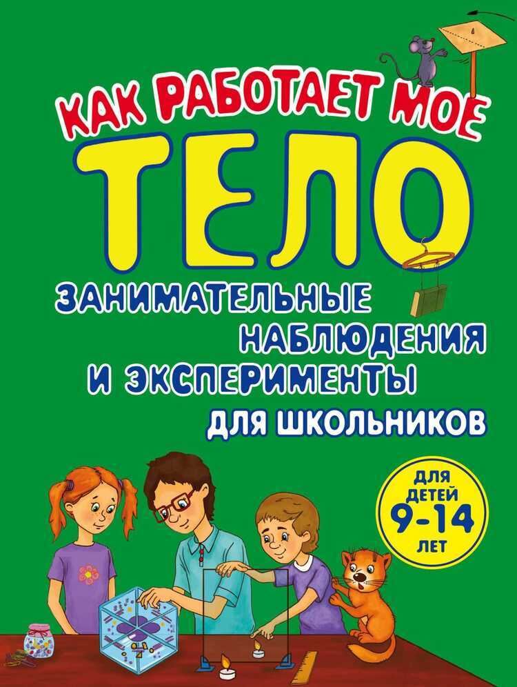 Как Работает Мое Тело