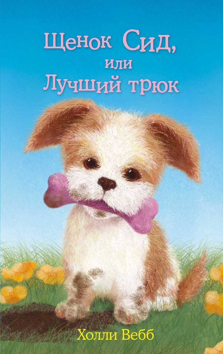 Щенок Сид, Или Лучший Трюк